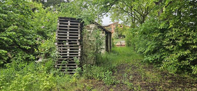 Działka zabudowana Zawichost