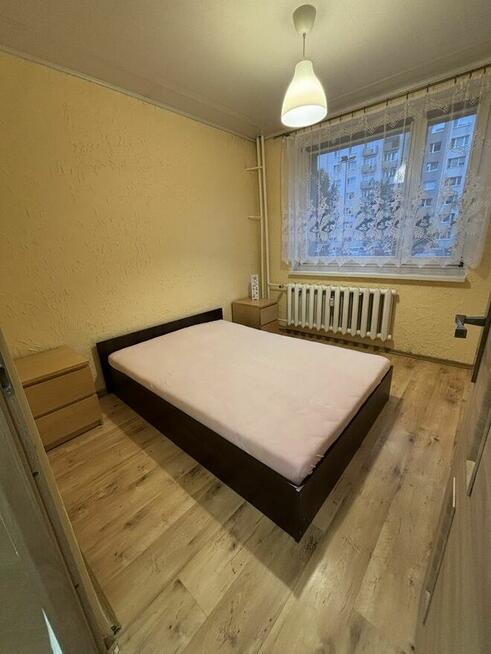 Wynajem 2 pokoje Wojciecha, Giszowiec