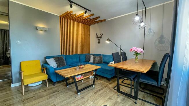 Nowoczesne mieszkanie na Winogradach