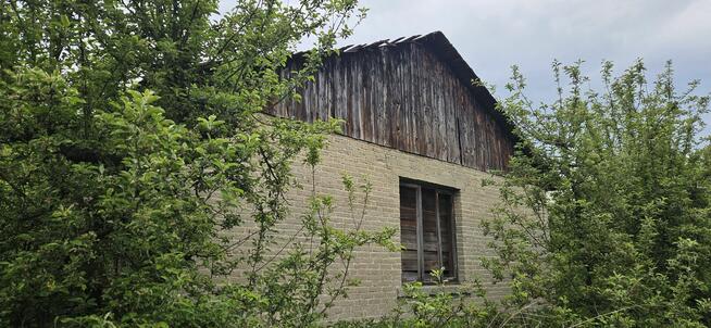 Działka rolna - sad