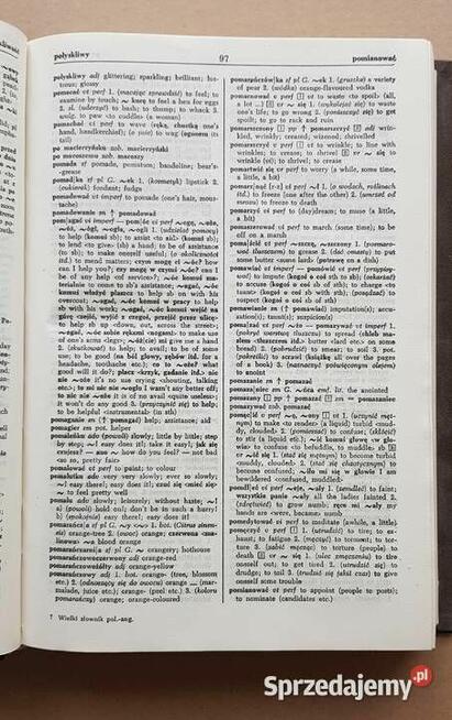 Wielki Słownik Polsko-Angielski