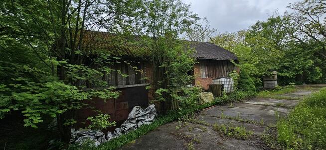 Działka zabudowana Zawichost