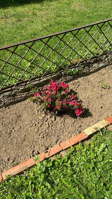 Piękna Działka Rod - Legnica ul. Jaworzyńska - 400m2