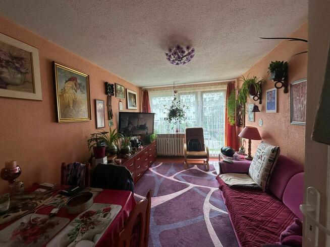 Syndyk ogłasza konkurs na sprzedaż lokalu mieszkalnego