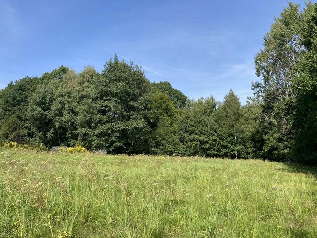 Działka w Raciborsku 17,5 ara w atrakcyjnej cenie!