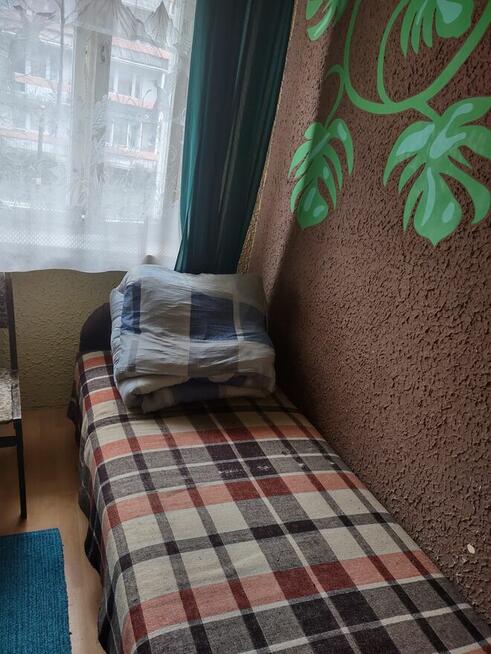 Pokój do wynajęcia