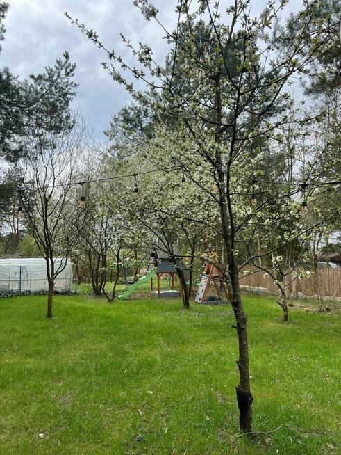 Działka z domkiem 25 m² przy lesie – Sufczyn