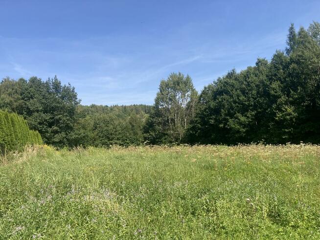 Działka w Raciborsku 17,5 ara w atrakcyjnej cenie!