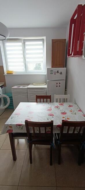 Mieszkanie do wynajęcia