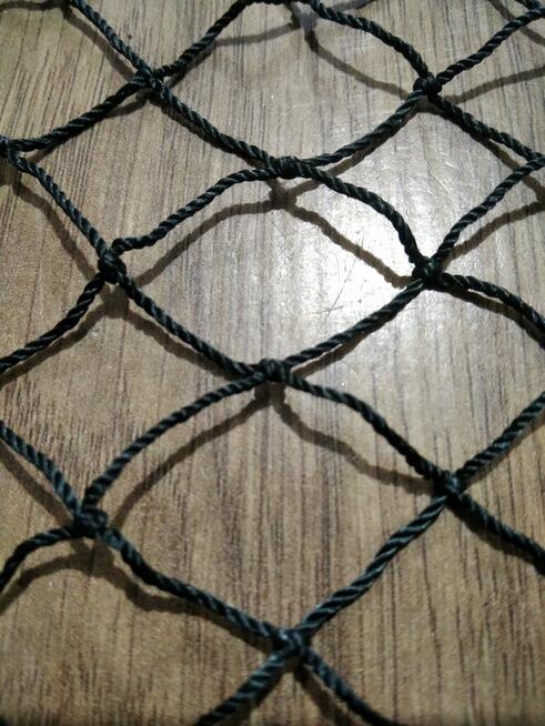 Sieci rybackie wonton drgawica żak