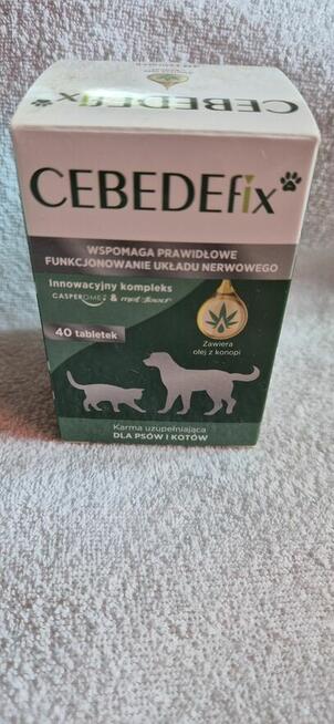 BIOVICO CEBEDEfix 40 tab bardzo skuteczny od: BIOVICO