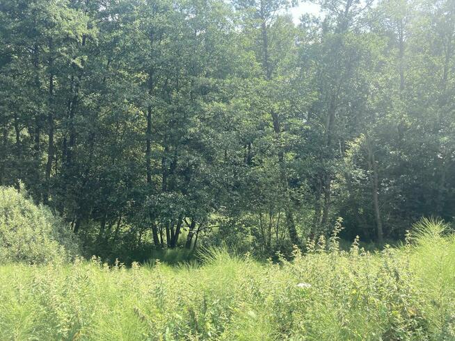 Działka dla dewelopera Koźmice Wielkie 1,12ha