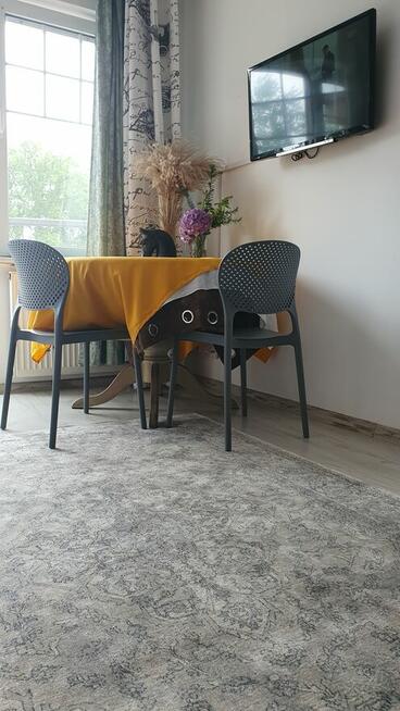 Słoneczna kawalerka - Sunny cozy studio