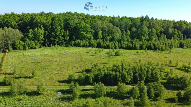 Działka budowlana Dziśnity gm. Małdyty