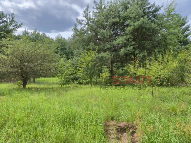 Działka budowlana Piotrkowice gm. Żabia Wola,