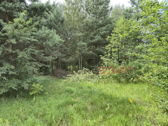 Działka budowlana Piotrkowice gm. Żabia Wola,