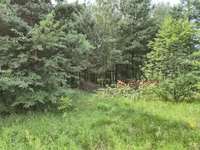 Działka budowlana Piotrkowice gm. Żabia Wola,