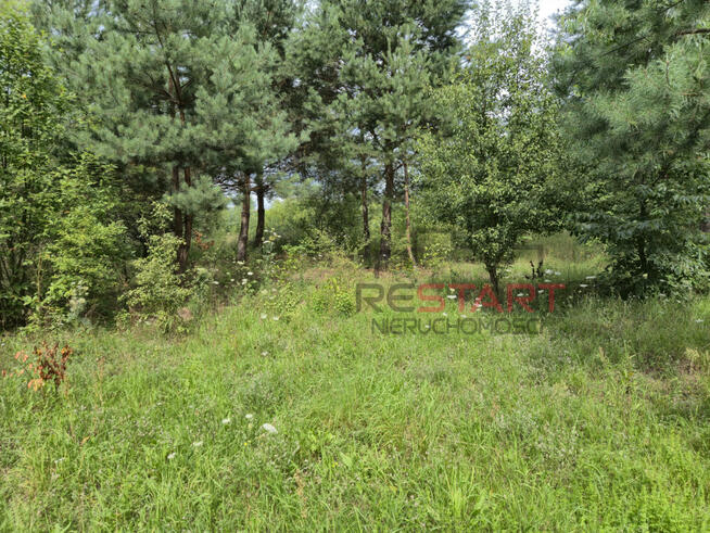 Działka budowlana Piotrkowice gm. Żabia Wola,