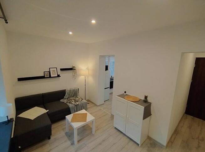 Duża kawalerka przyjazna dla zwierząt, Reja 13