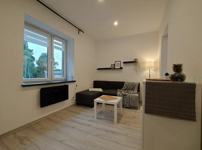 Duża kawalerka przyjazna dla zwierząt, Reja 13