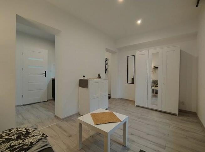 Duża kawalerka przyjazna dla zwierząt, Reja 13