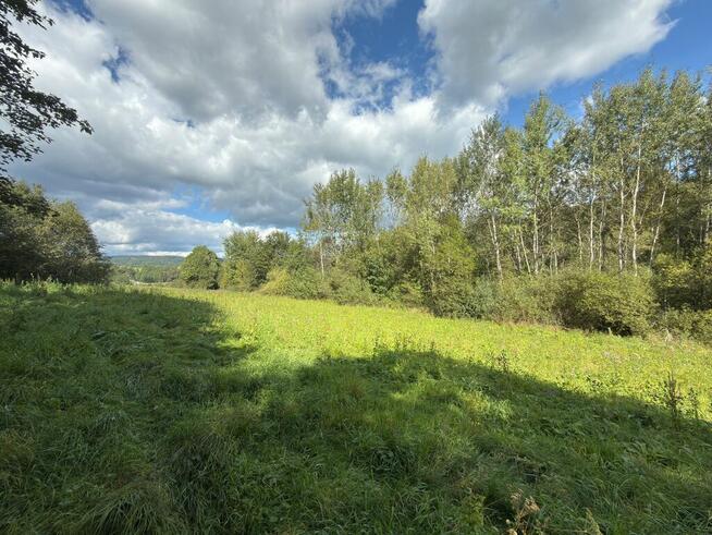 Urokliwa działka w Bieszczadach - Hoczew