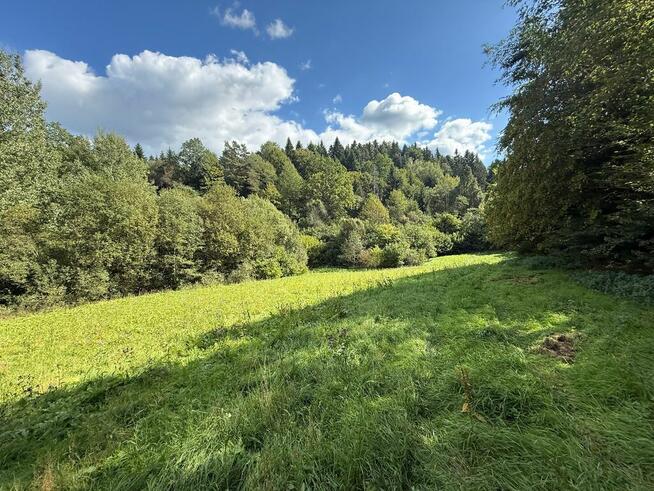 Urokliwa działka w Bieszczadach - Hoczew
