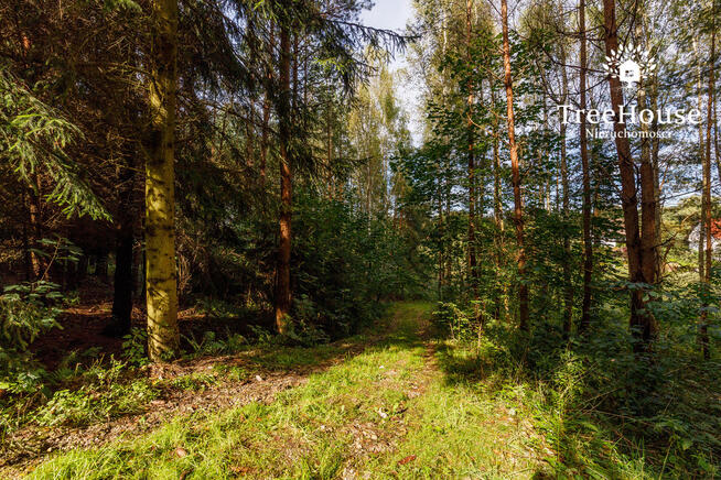 Działka z potencjałem blisko Jeziora Wulpińskiego