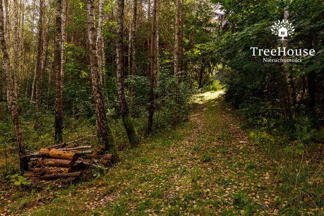 Działka z potencjałem blisko Jeziora Wulpińskiego
