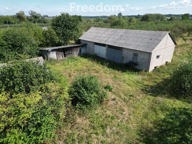 Sprzedam siedlisko z sadem – 8600 m² – Głodno