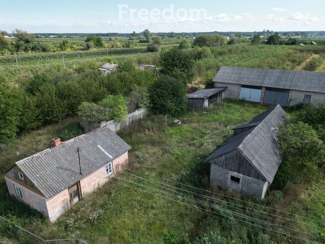 Sprzedam siedlisko z sadem – 8600 m² – Głodno