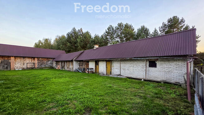 Dom z zabudowaniami, działka 2,3 ha – Gielnia