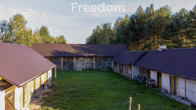 Dom z zabudowaniami, działka 2,3 ha – Gielnia