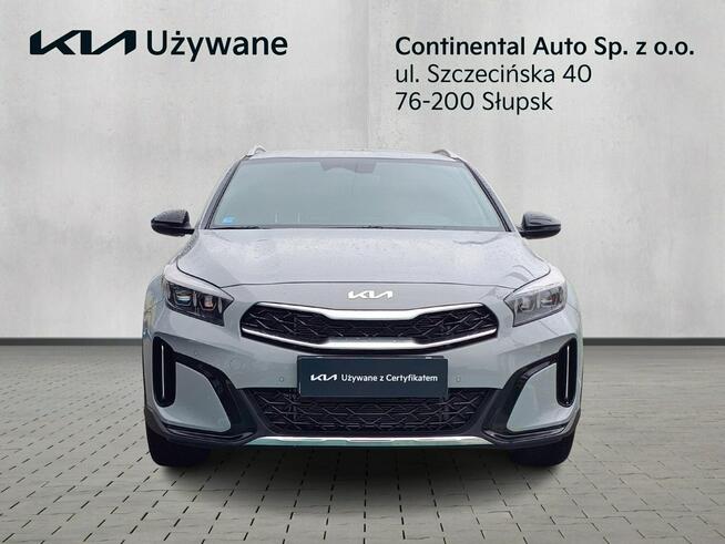 Kia XCeed 1.5 150KM 7dct Tribute + zimowy Wolf grey