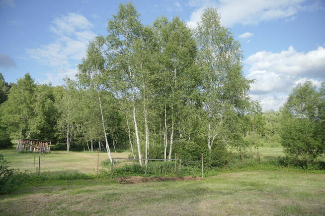 Bieszczadzka ostoja - dom dla konesera, Ustrzyki D