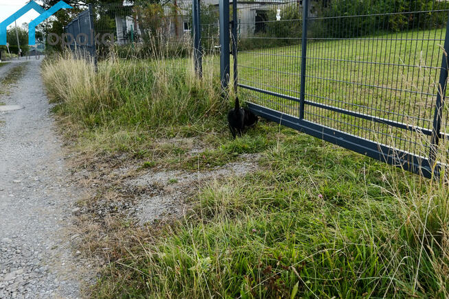 Działka budowlana Cieszyn