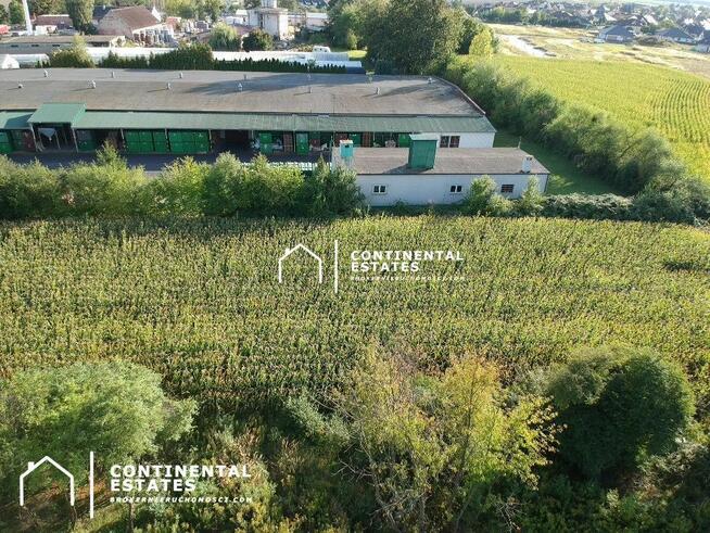 Działka budowlana w Oleśnicy | ul. Włoska