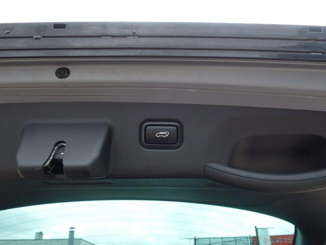 Kia Sportage BUSINESS LINE SALON POLSKI 1 WŁAŚCICIEL, ASO SERWIS , HAK,