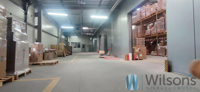 Lokal użytkowy Czosnów,