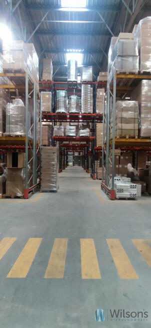 Lokal użytkowy Czosnów,