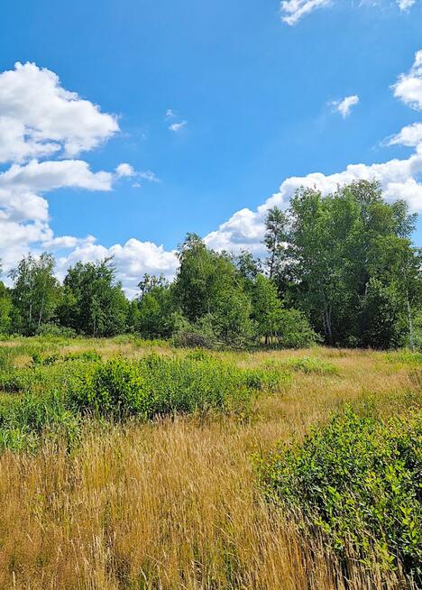 Działka budowlana Grabówka gm. Supraśl,