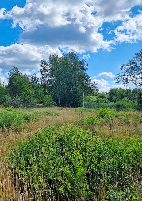 Działka budowlana Grabówka gm. Supraśl,
