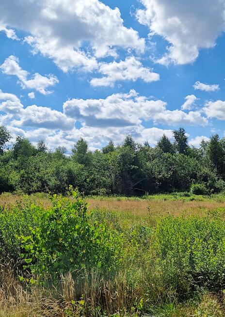 Działka budowlana Grabówka gm. Supraśl,