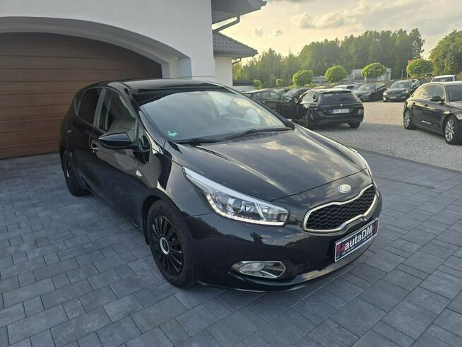 Kia Cee'd | LED | Czujniki