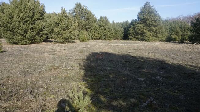 Działka budowlana Janiszów gm. Trzebnica