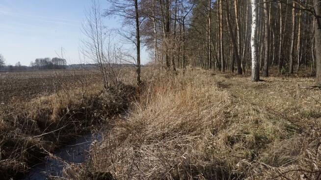 Działka budowlana Janiszów gm. Trzebnica