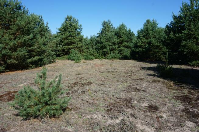 Działka budowlana Janiszów gm. Trzebnica