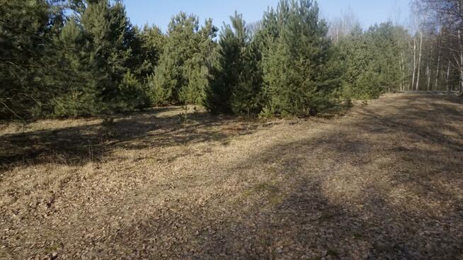 Działka budowlana Janiszów gm. Trzebnica