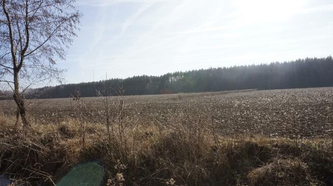 Działka budowlana Janiszów gm. Trzebnica