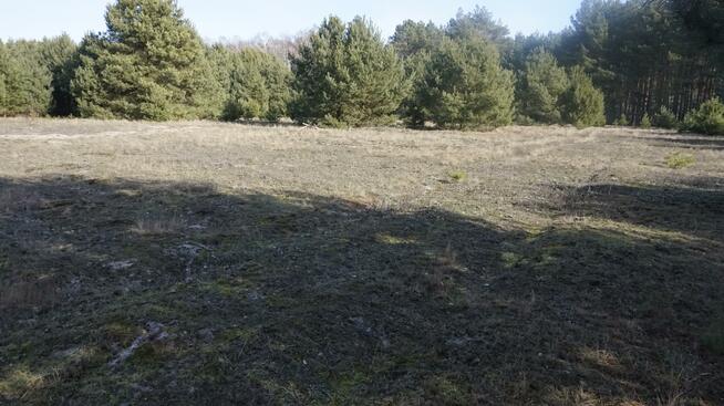 Działka budowlana Janiszów gm. Trzebnica